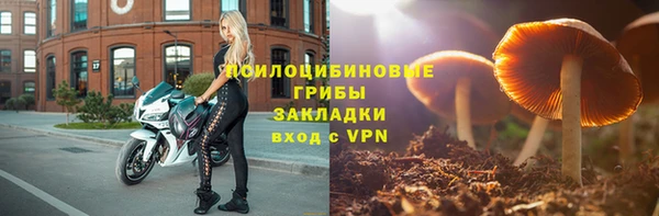 марки lsd Каменка
