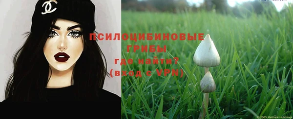 гидропоника Каменногорск