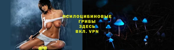 марки lsd Каменка