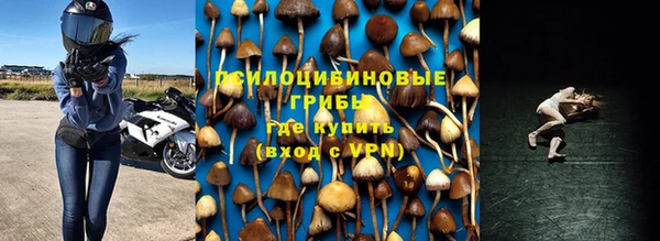 гидропоника Каменногорск