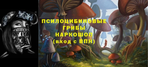 гидропоника Каменногорск