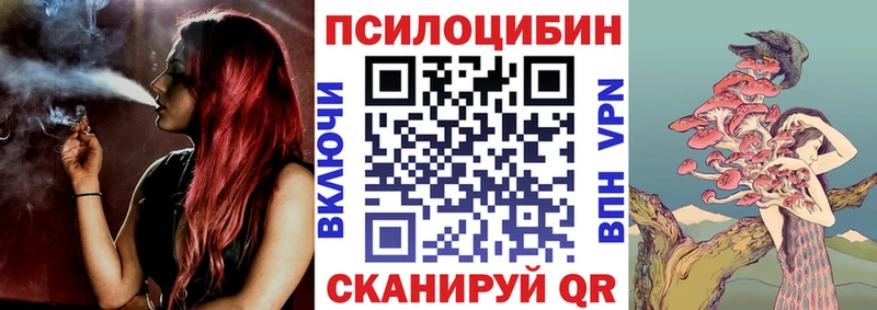 что такое Красногорск блэк спрут ТОР Псилоцибиновые грибы Magic Shrooms